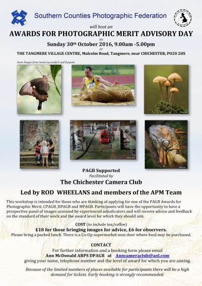 APM POSTER2