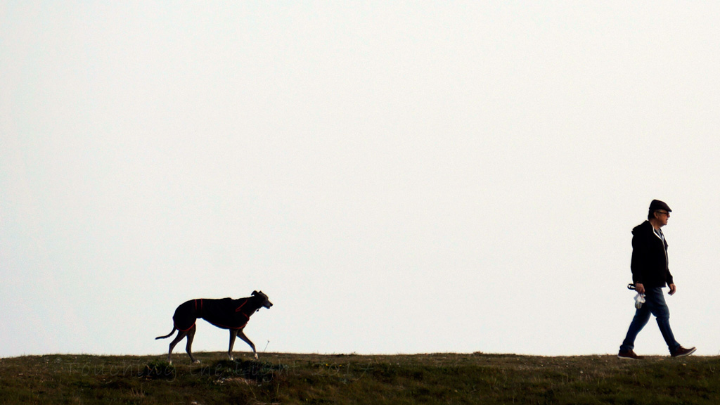 Image of a man and a dog by Ken Scott - promo for the SCPF Judging course